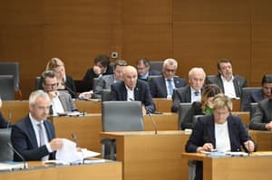 SDS, NSi in Resnica zahtevajo parlamentarno preiskavo o zadevi Black Cube, Sova: Delamo zakonito