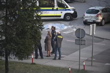 Po tragediji v Fužinah: Za zdaj ni potrjeno, da bi policista, ki sta streljala, storila karkoli narobe