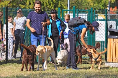 (FOTOGALERIJA) Pasje veselje v prvem mariborskem pasjem parku