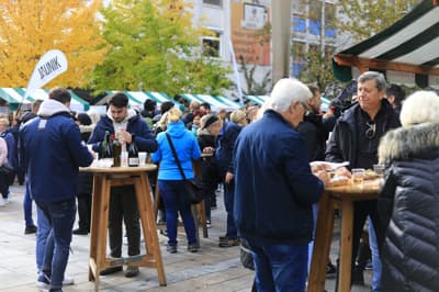 (GALERIJA) Mošta ni več, samo še vino! Takšno je vzdušje na največjem martinovanju v državi