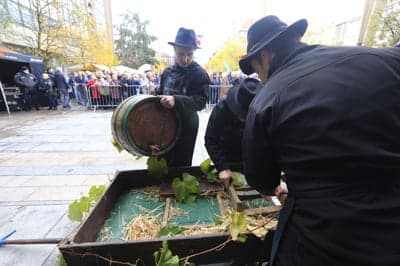 (GALERIJA) Mošta ni več, samo še vino! Takšno je vzdušje na največjem martinovanju v državi
