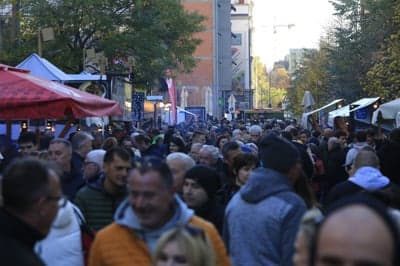 (GALERIJA) Mošta ni več, samo še vino! Takšno je vzdušje na največjem martinovanju v državi