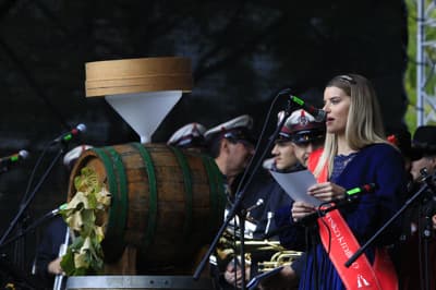 (GALERIJA) Mošta ni več, samo še vino! Takšno je vzdušje na največjem martinovanju v državi