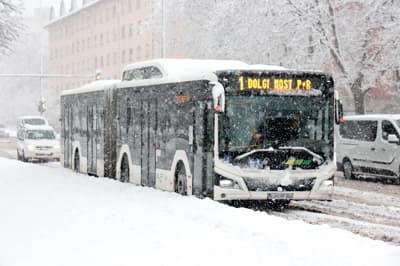 Ljubljanski mestni avtobus