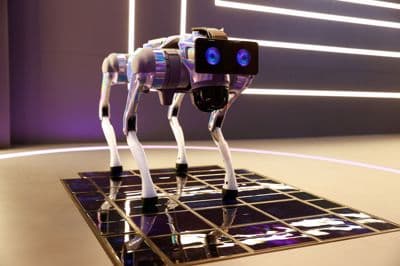 Robotski pes je plesal na več zaslonih podjetja Samsung, da je prikazal njihovo odpornost. 