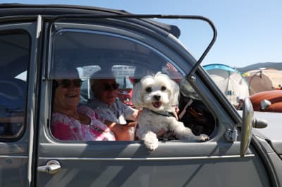 V Postojni so se zbrali spački z vseh koncev sveta