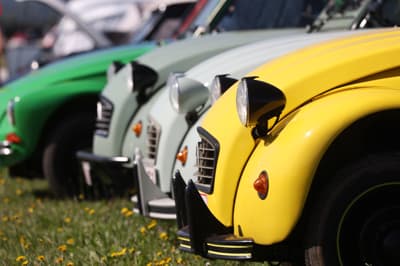 V Postojni so se zbrali spački z vseh koncev sveta