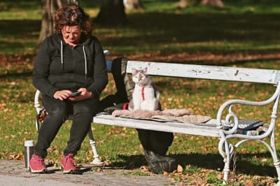 (FOTO) Mestni park v jesenskih barvah