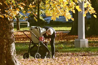 (FOTO) Mestni park v jesenskih barvah