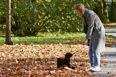 (FOTO) Mestni park v jesenskih barvah