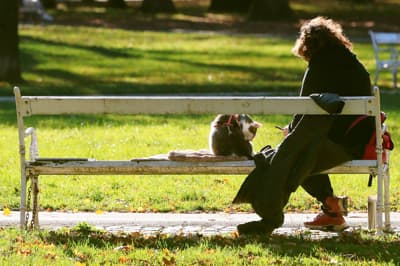 (FOTO) Mestni park v jesenskih barvah