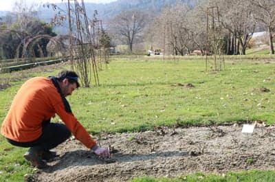 (FOTO) Pomlad v Botaničnem vrtu v Pivoli