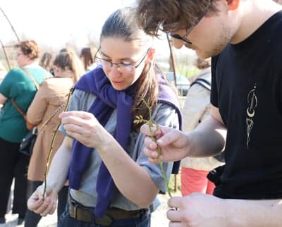 (FOTO) Pomlad v Botaničnem vrtu v Pivoli