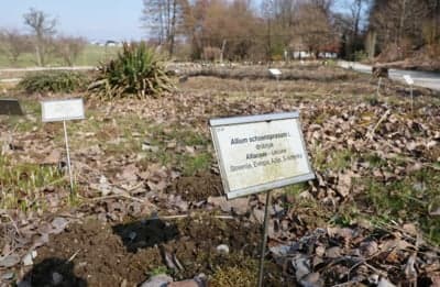 (FOTO) Pomlad v Botaničnem vrtu v Pivoli