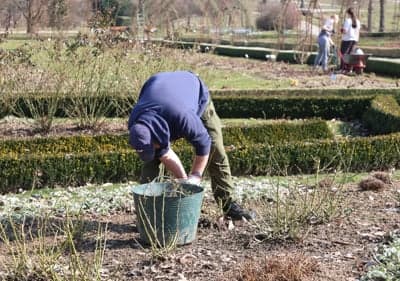 (FOTO) Pomlad v Botaničnem vrtu v Pivoli