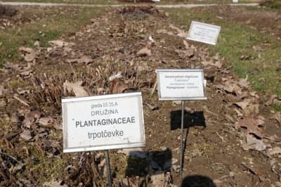 (FOTO) Pomlad v Botaničnem vrtu v Pivoli