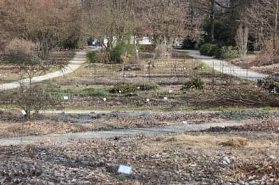 (FOTO) Pomlad v Botaničnem vrtu v Pivoli