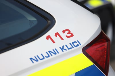 Malečnik: Psa napadla ovce, lastnik bo kaznovan