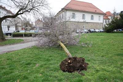 Šmartno, Sp. Predbukovje, Bresnica, Sp. Velka, Domanjševci, Ročica: Zaradi vetra več kot tisoč ljudi brez elektrike