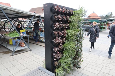 (FOTO) Nova zelena točka v Mariboru: Osrednja tržnica dobila vertikalni vrt