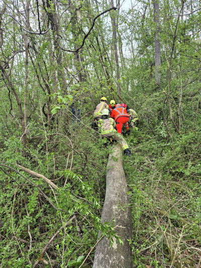 (FOTO) Nesreča pri podiranju drevesa: Na občana padlo drevo