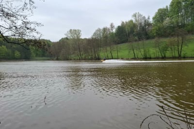 Blaguško jezero zaprto: Alge zadušile vodo, ribe množično poginjajo