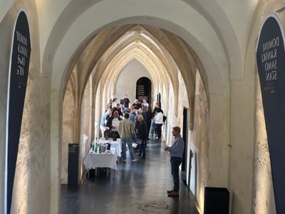 (FOTO) Festival Salon Sauvignon Ptuj: Ko vino briše meje