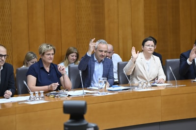 Cigler Kralj nad sindikate: So le še izpostava leve aktivistične politike