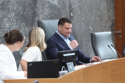 Spor se nadaljuje: Podpredsednica DZ iz Svobode predlaga, naj kolegij oceni Stevanovićeve besede
