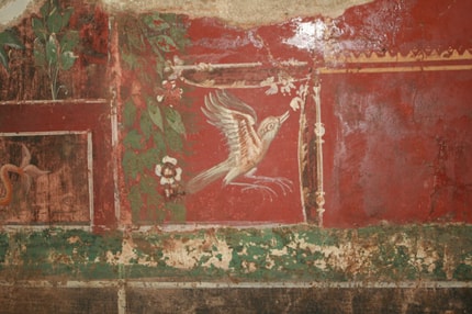 Se freske po devetih letih končno vračajo v Celje?