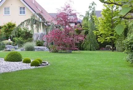 Spomladanska nega trate: So pravila še enaka?