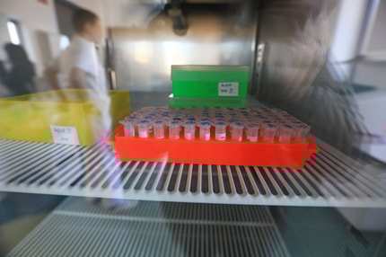 (POGLED) Kolumna Dejana Verčiča: Ko neenakost postane biološka: od digitalnega razkoraka do genetskih razlik