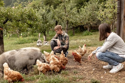Turistične kmetije v vzponu: Več ponudnikov in več gostov
