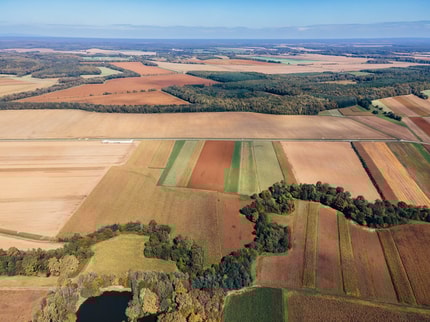 (KOMENTAR) Okoljske bučke
