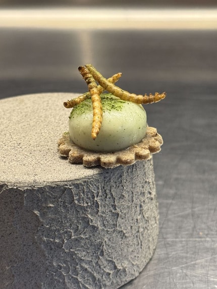 Žuželke na krožnikih? Da, v Pomurju!