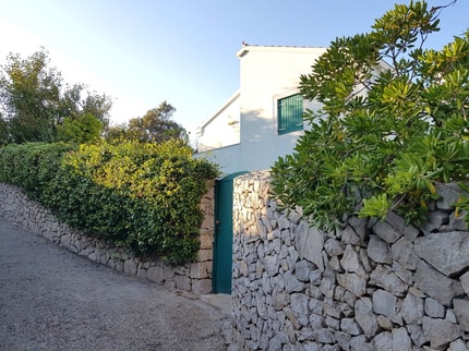 (FOTO) Nasveti Matica Severja: Rastline v spreminjajočem se podnebju - kaj vse prezimi in kaj ne?