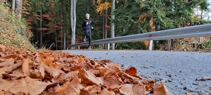 (POGLED) Kolumna Igorja Gošteta: Vsakoletna selitev na Hrvaško