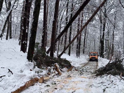Maribor: Nigrad, gasilci, delavci elektro in drugih podjetij odpravljajo težave, odstranjujejo sneg. Poziv k previdnosti
