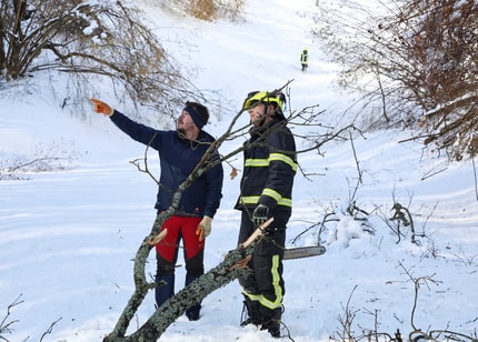 Za nekaterimi Haložani že druga noč brez elektrike