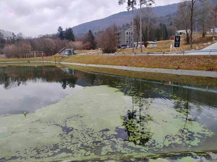 Na problem cianobakterij v zbiralniku vode pod Pohorjem bo opozarjala le informativna tabla