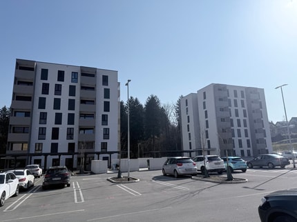 Rešitve za Koroško: Od neadaptiranih hiš do javnih najemnih stanovanj