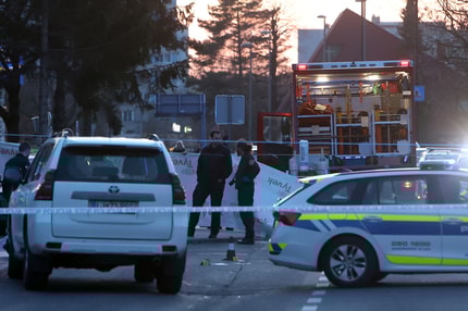 Brez opozorilnega strela: 25-letnik že pred dvema letoma grozil policistom - takrat na Bavarskem dvoru