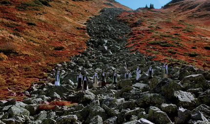 (INTERVJU) Karmina Šilec: Privilegij peščice posameznic še ne spremeni družbenega sistema