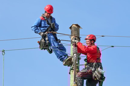 (REPORTAŽA) Na teren z električarji: Elektriko bi imeli vsi, redki pa se vprašajo, kako pride do njih