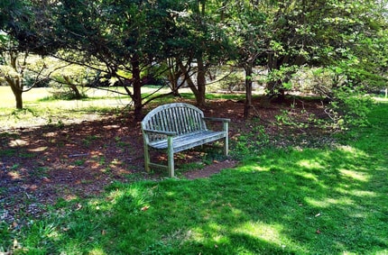 Nasveti Matica Severja: Z umetno inteligenco do slabega vrta