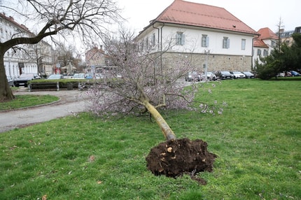 Šmartno, Sp. Predbukovje, Bresnica, Sp. Velka, Domanjševci, Ročica: Zaradi vetra več kot tisoč ljudi brez elektrike