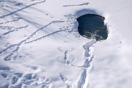 Osemletnik pod ledom preživel več kot dve uri: Zdravniki pojasnili fenomen