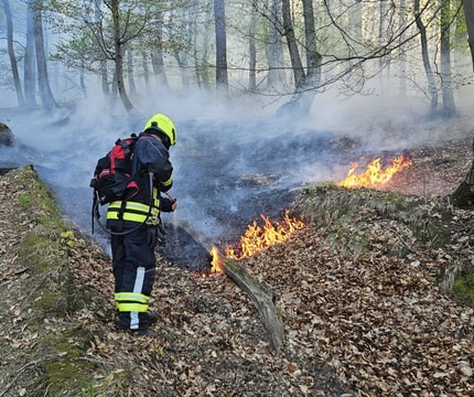 Suša že povečuje nevarnost požarov v naravi