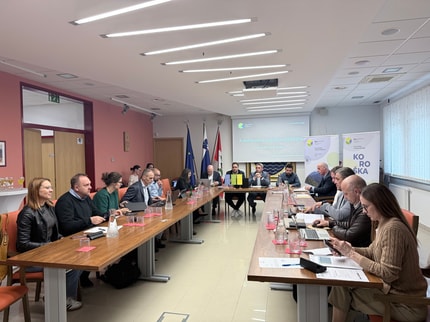 Koroške občine iščejo rešitev za visoke oskrbnine in lokacijo za regijsko zavetišče