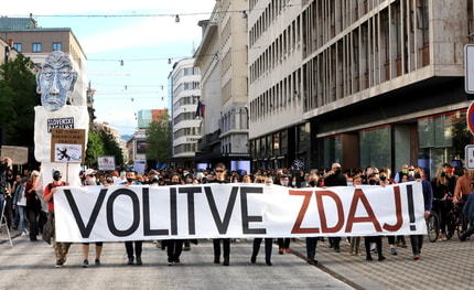 (FENOMENI) Kolumna Svetlane Slapšak: Škodljivci